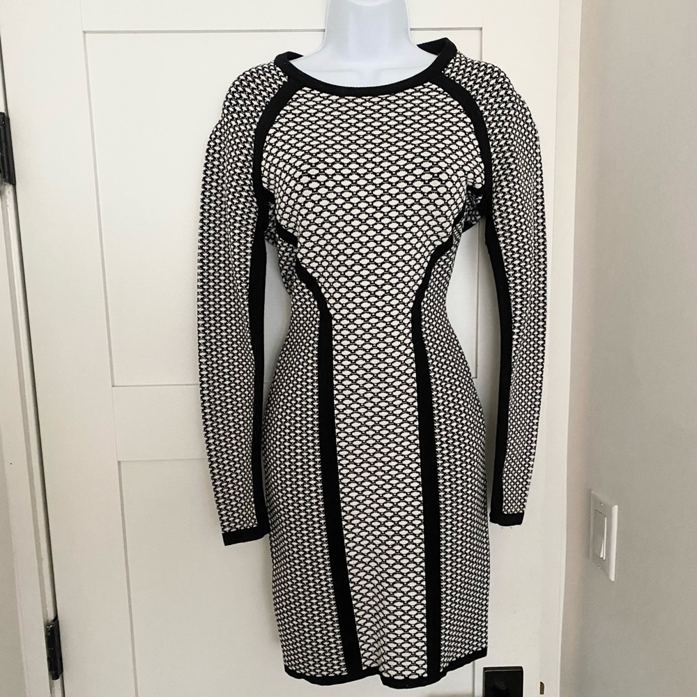BCBG Black & White Illusion Dress